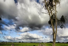 步行者队不挡冲击前四无缘季后赛