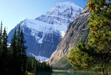 荷兰队实力坚强，欧洲杯上或成黑马