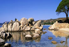 传闻球队内部矛盾丛生，可能影响比赛表现