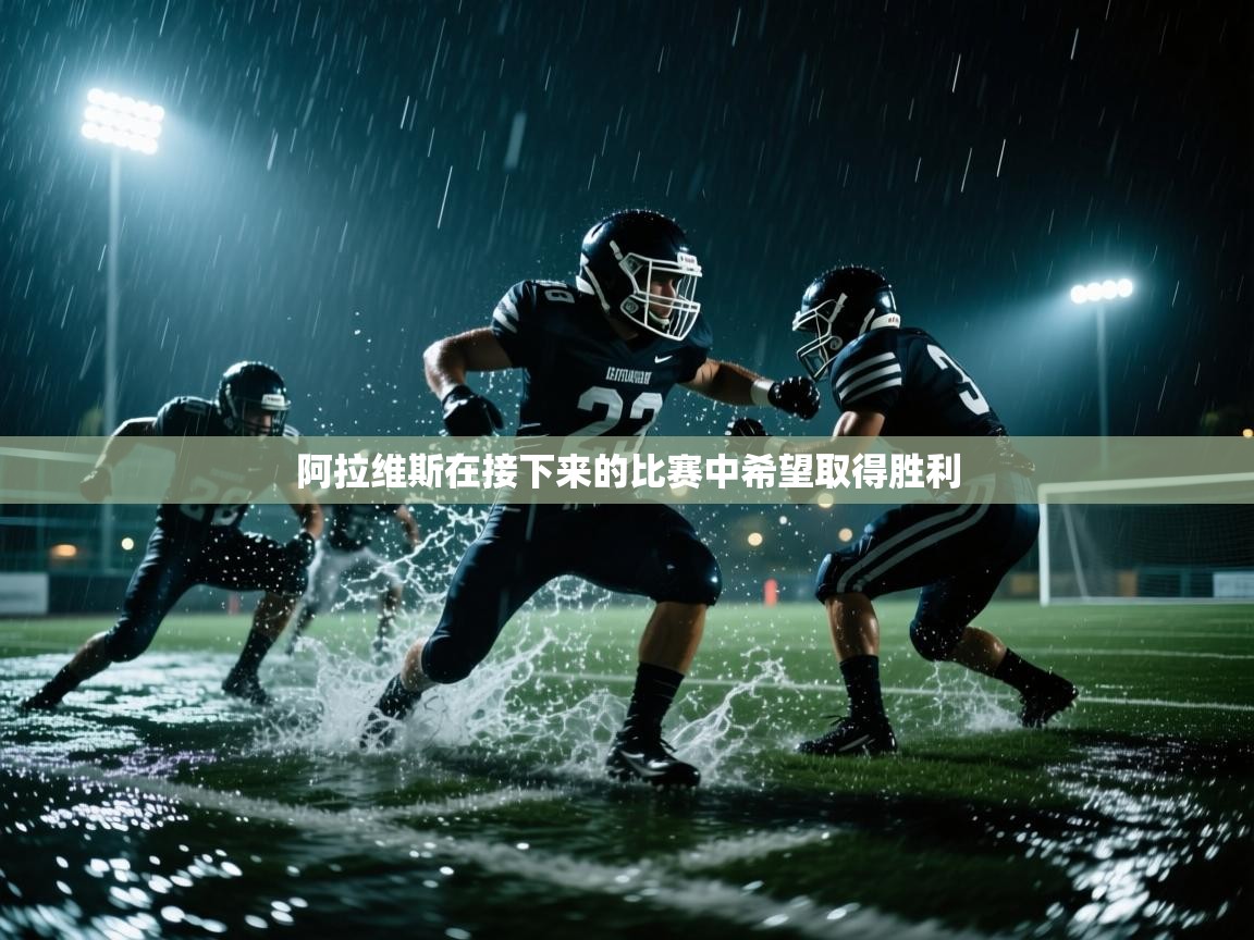 阿拉维斯在接下来的比赛中希望取得胜利  第1张