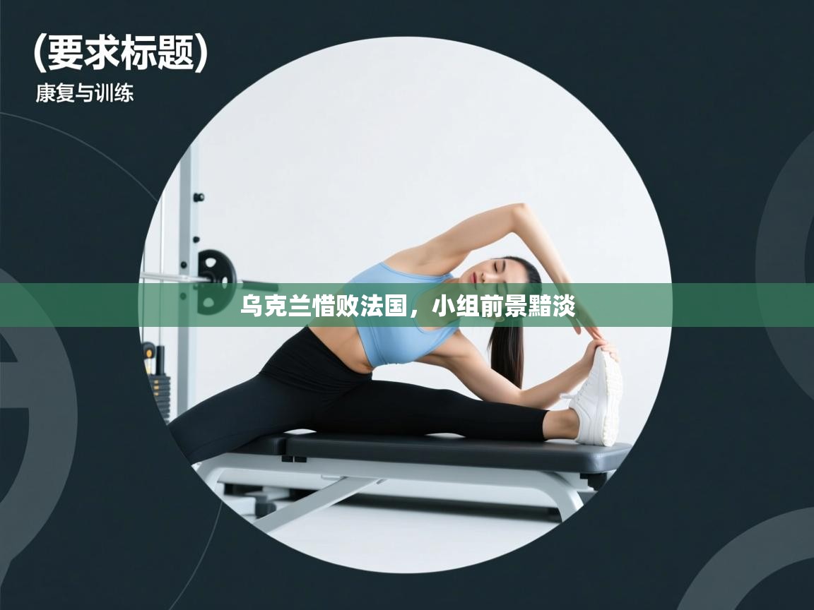 乌克兰惜败法国，小组前景黯淡  第1张