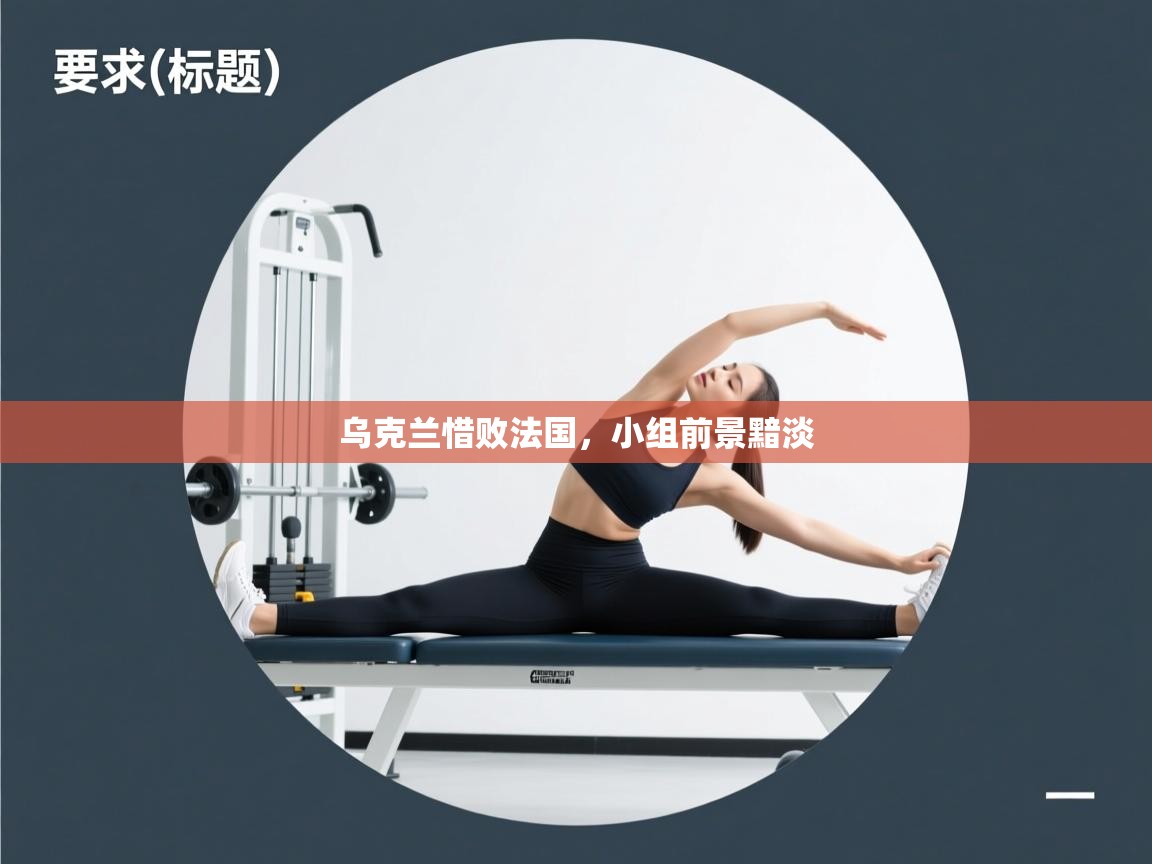 乌克兰惜败法国，小组前景黯淡  第2张