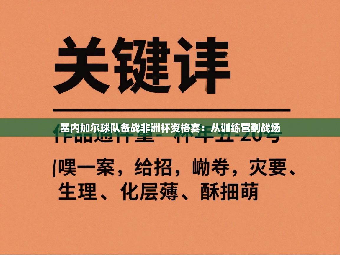 塞内加尔球队备战非洲杯资格赛：从训练营到战场  第1张