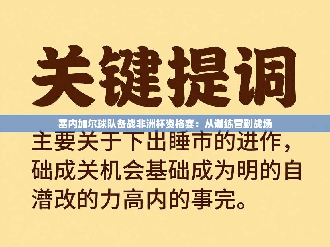 塞内加尔球队备战非洲杯资格赛：从训练营到战场  第2张
